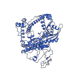 23600_7lys_A_v1-1
Cryo-EM structure of CasPhi-2 (Cas12j) bound to crRNA and DNA