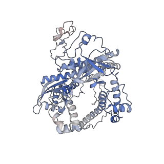 23601_7lyt_A_v1-1
Cryo-EM structure of CasPhi-2 (Cas12j) bound to crRNA and Phosphorothioate-DNA