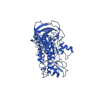 30014_6ly8_A_v1-1
V/A-ATPase from Thermus thermophilus, the soluble domain, including V1, d, two EG stalks, and N-terminal domain of a-subunit.
