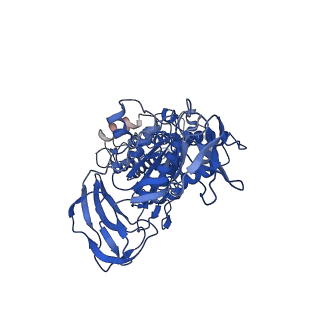 30014_6ly8_B_v1-1
V/A-ATPase from Thermus thermophilus, the soluble domain, including V1, d, two EG stalks, and N-terminal domain of a-subunit.