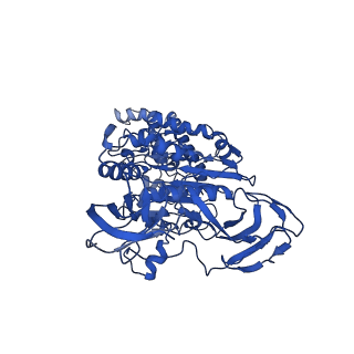 30014_6ly8_C_v1-1
V/A-ATPase from Thermus thermophilus, the soluble domain, including V1, d, two EG stalks, and N-terminal domain of a-subunit.