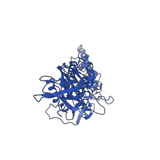 30014_6ly8_E_v1-1
V/A-ATPase from Thermus thermophilus, the soluble domain, including V1, d, two EG stalks, and N-terminal domain of a-subunit.