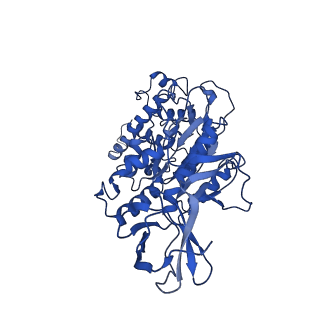 30014_6ly8_F_v1-1
V/A-ATPase from Thermus thermophilus, the soluble domain, including V1, d, two EG stalks, and N-terminal domain of a-subunit.