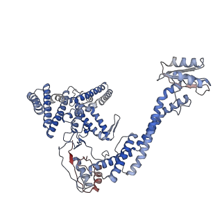 30015_6ly9_N_v1-1
The membrane-embedded Vo domain of V/A-ATPase from Thermus thermophilus