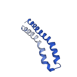 30015_6ly9_O_v1-1
The membrane-embedded Vo domain of V/A-ATPase from Thermus thermophilus