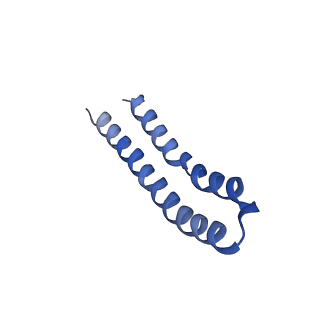 30015_6ly9_T_v1-1
The membrane-embedded Vo domain of V/A-ATPase from Thermus thermophilus