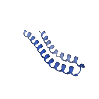 30015_6ly9_U_v1-1
The membrane-embedded Vo domain of V/A-ATPase from Thermus thermophilus
