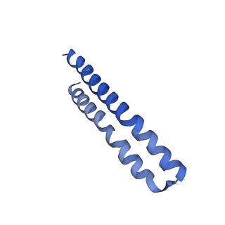 30015_6ly9_Y_v1-1
The membrane-embedded Vo domain of V/A-ATPase from Thermus thermophilus