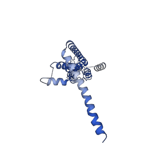 30016_6lyg_A_v1-0
Cryo-EM structure of the calcium homeostasis modulator 1 channel