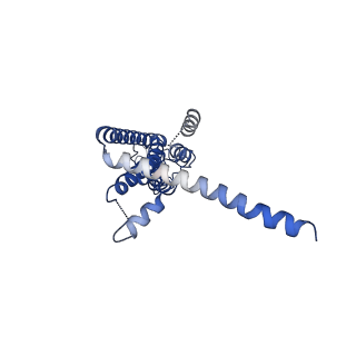30016_6lyg_B_v1-0
Cryo-EM structure of the calcium homeostasis modulator 1 channel