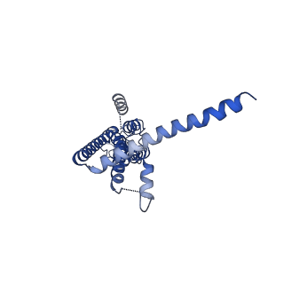 30016_6lyg_C_v1-0
Cryo-EM structure of the calcium homeostasis modulator 1 channel