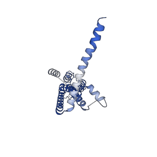 30016_6lyg_D_v1-0
Cryo-EM structure of the calcium homeostasis modulator 1 channel