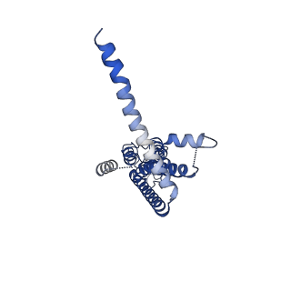 30016_6lyg_E_v1-0
Cryo-EM structure of the calcium homeostasis modulator 1 channel