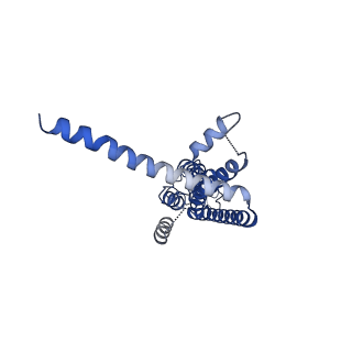30016_6lyg_F_v1-0
Cryo-EM structure of the calcium homeostasis modulator 1 channel