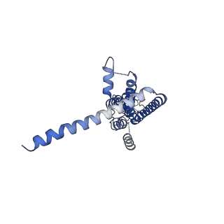 30016_6lyg_G_v1-0
Cryo-EM structure of the calcium homeostasis modulator 1 channel