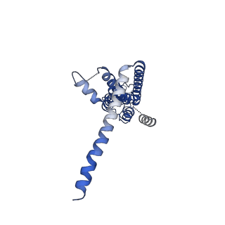 30016_6lyg_H_v1-0
Cryo-EM structure of the calcium homeostasis modulator 1 channel
