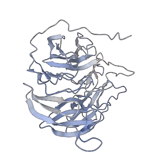 30018_6lyu_B_v1-0
Structure of the BAM complex
