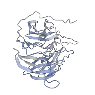 30018_6lyu_B_v1-1
Structure of the BAM complex