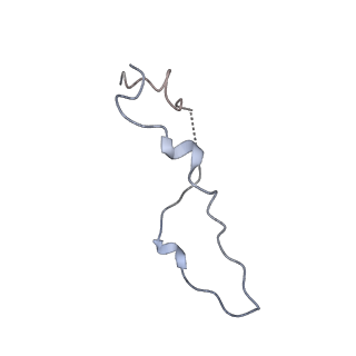 30018_6lyu_C_v1-1
Structure of the BAM complex