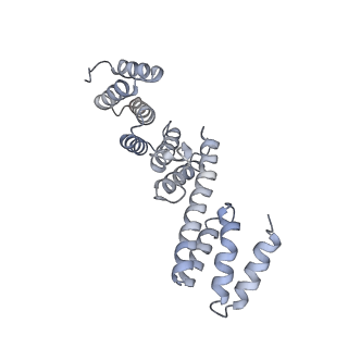 30018_6lyu_D_v1-0
Structure of the BAM complex