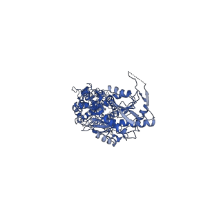 23606_7lzh_B_v1-1
Structure of the glutamate receptor-like channel AtGLR3.4