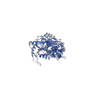 23606_7lzh_D_v1-1
Structure of the glutamate receptor-like channel AtGLR3.4