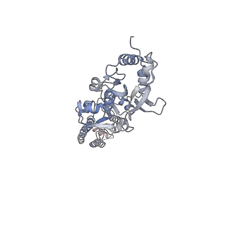 23607_7lzi_A_v1-1
Structure of the glutamate receptor-like channel AtGLR3.4