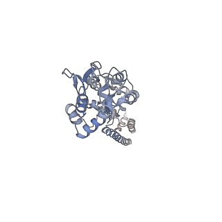 23607_7lzi_B_v1-1
Structure of the glutamate receptor-like channel AtGLR3.4