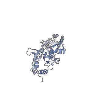 23607_7lzi_C_v1-1
Structure of the glutamate receptor-like channel AtGLR3.4