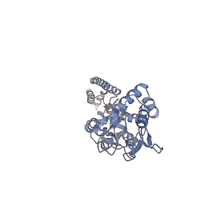 23607_7lzi_D_v1-1
Structure of the glutamate receptor-like channel AtGLR3.4