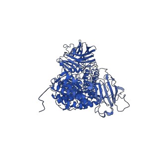 30021_6lz1_B_v1-2
Structure of S.pombe alpha-mannosidase Ams1