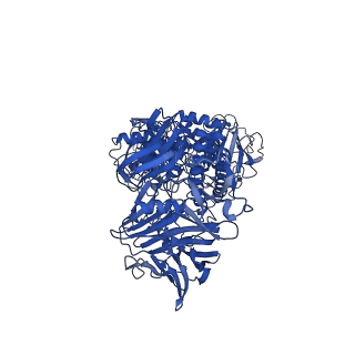 30021_6lz1_C_v1-2
Structure of S.pombe alpha-mannosidase Ams1