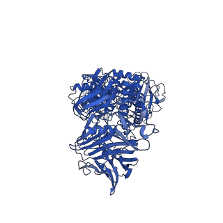 30021_6lz1_C_v1-3
Structure of S.pombe alpha-mannosidase Ams1