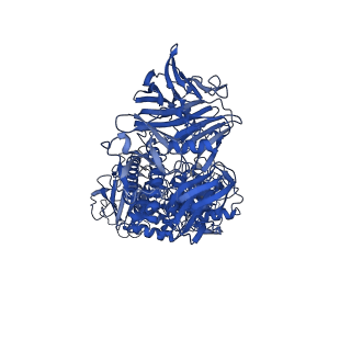 30021_6lz1_D_v1-2
Structure of S.pombe alpha-mannosidase Ams1