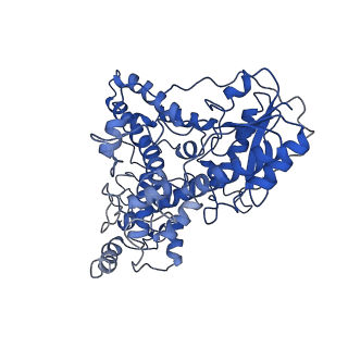 30022_6lz3_A_v1-1
Structure of cryptochrome in active conformation