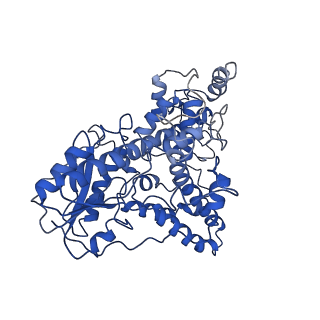 30022_6lz3_B_v1-1
Structure of cryptochrome in active conformation
