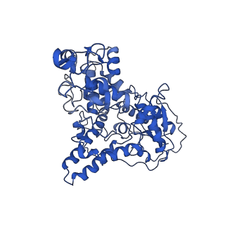 30022_6lz3_C_v1-1
Structure of cryptochrome in active conformation