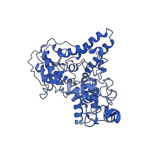 30022_6lz3_D_v1-1
Structure of cryptochrome in active conformation
