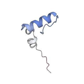 4121_5lza_2_v1-2
Structure of the 70S ribosome with SECIS-mRNA and P-site tRNA (Initial complex, IC)