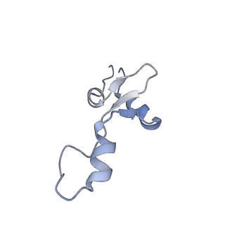 4121_5lza_3_v1-2
Structure of the 70S ribosome with SECIS-mRNA and P-site tRNA (Initial complex, IC)