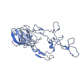 4121_5lza_C_v1-2
Structure of the 70S ribosome with SECIS-mRNA and P-site tRNA (Initial complex, IC)