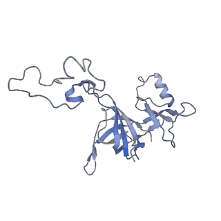 4121_5lza_D_v1-2
Structure of the 70S ribosome with SECIS-mRNA and P-site tRNA (Initial complex, IC)