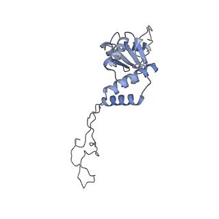 4121_5lza_E_v1-2
Structure of the 70S ribosome with SECIS-mRNA and P-site tRNA (Initial complex, IC)