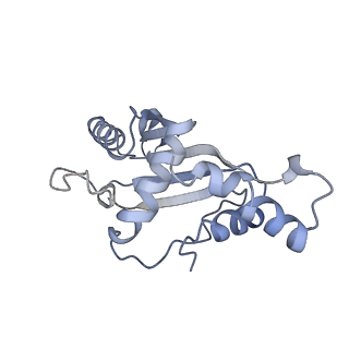 4121_5lza_F_v1-2
Structure of the 70S ribosome with SECIS-mRNA and P-site tRNA (Initial complex, IC)