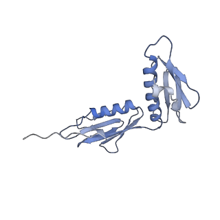 4121_5lza_G_v1-2
Structure of the 70S ribosome with SECIS-mRNA and P-site tRNA (Initial complex, IC)