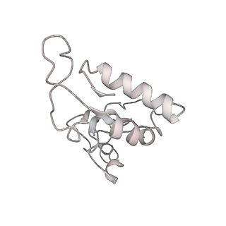 4121_5lza_I_v1-2
Structure of the 70S ribosome with SECIS-mRNA and P-site tRNA (Initial complex, IC)