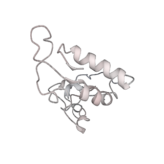4121_5lza_I_v2-0
Structure of the 70S ribosome with SECIS-mRNA and P-site tRNA (Initial complex, IC)
