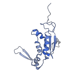 4121_5lza_J_v1-2
Structure of the 70S ribosome with SECIS-mRNA and P-site tRNA (Initial complex, IC)