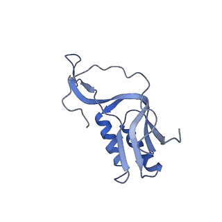 4121_5lza_M_v1-2
Structure of the 70S ribosome with SECIS-mRNA and P-site tRNA (Initial complex, IC)