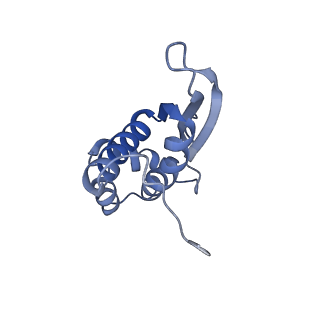 4121_5lza_N_v1-2
Structure of the 70S ribosome with SECIS-mRNA and P-site tRNA (Initial complex, IC)
